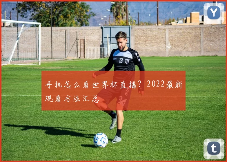手机怎么看世界杯直播？2022最新观看方法汇总