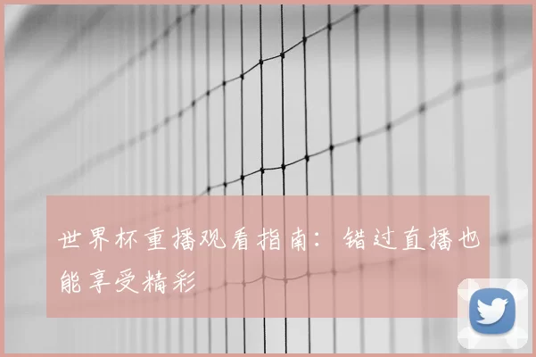 世界杯重播观看指南：错过直播也能享受精彩