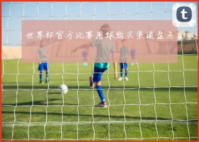 世界杯官方比赛用球购买渠道盘点