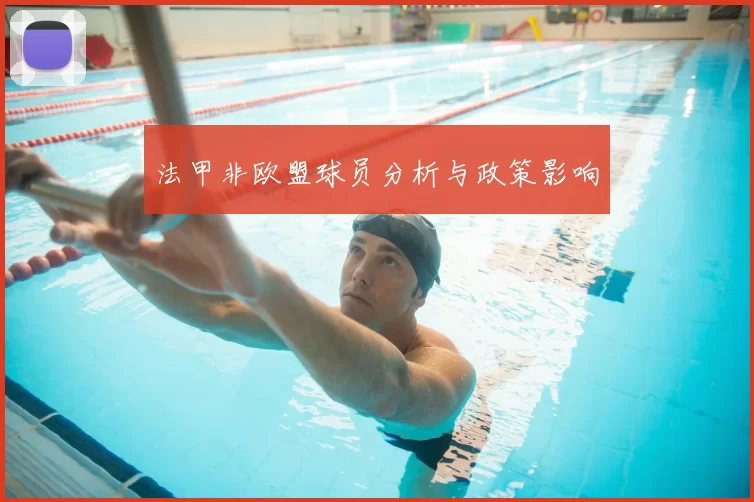 法甲非欧盟球员分析与政策影响