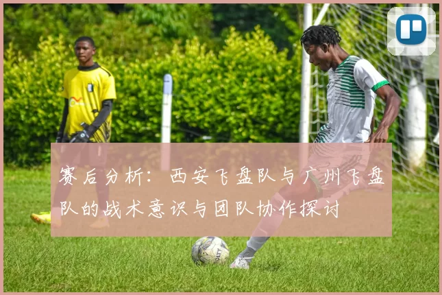 赛后分析：西安飞盘队与广州飞盘队的战术意识与团队协作探讨