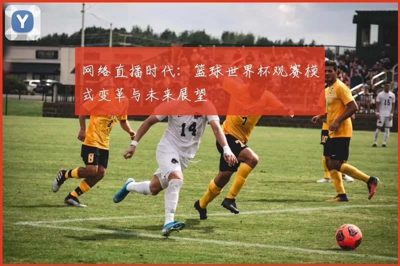 网络直播时代：篮球世界杯观赛模式变革与未来展望