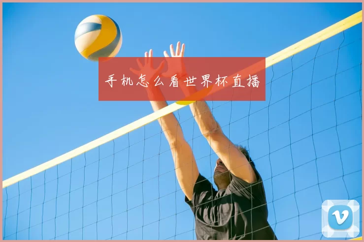 手机怎么看世界杯直播