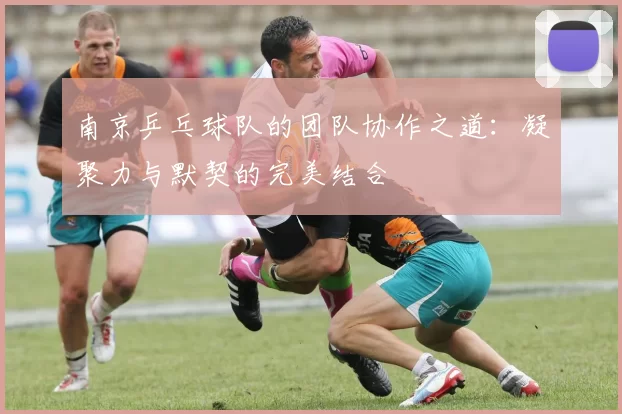 南京乒乓球队的团队协作之道：凝聚力与默契的完美结合