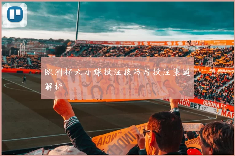 欧洲杯大小球投注技巧与投注渠道解析