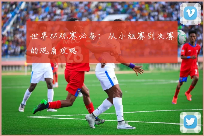 世界杯观赛必备:从小组赛到决赛的观看攻略