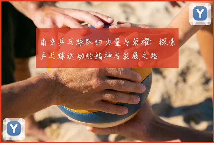 南京乒乓球队的力量与荣耀：探索乒乓球运动的精神与发展之路