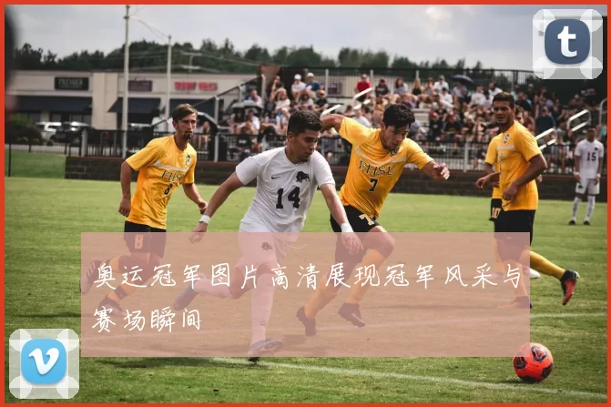 奥运冠军图片高清展现冠军风采与赛场瞬间