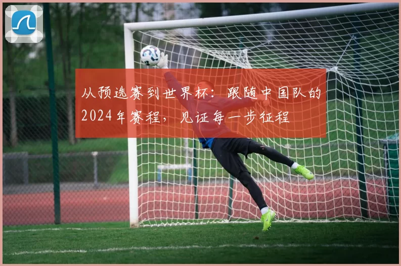 从预选赛到世界杯：跟随中国队的2024年赛程，见证每一步征程