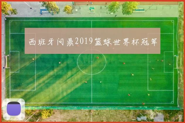 西班牙问鼎2019篮球世界杯冠军