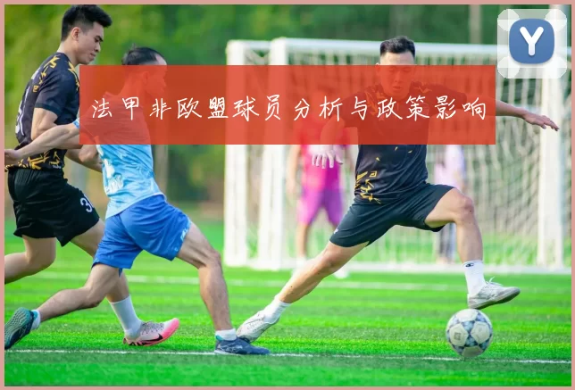 法甲非欧盟球员分析与政策影响
