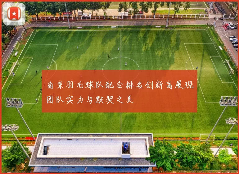 南京羽毛球队配合排名创新高展现团队实力与默契之美