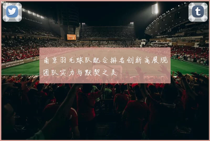 南京羽毛球队配合排名创新高展现团队实力与默契之美