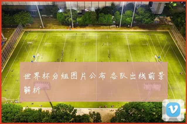 世界杯分组图片公布 各队出线前景解析