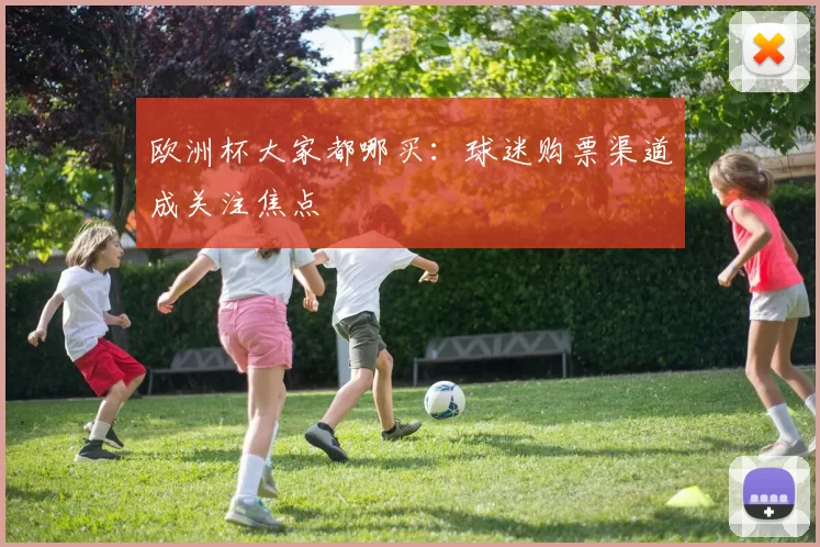 欧洲杯大家都哪买：球迷购票渠道成关注焦点