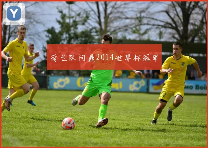 荷兰队问鼎2014世界杯冠军