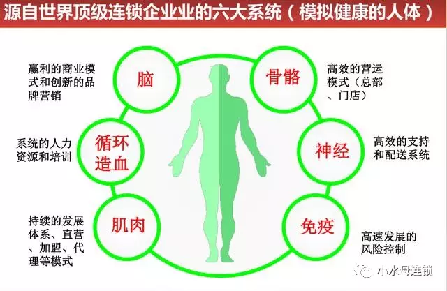 连锁企业六大系统