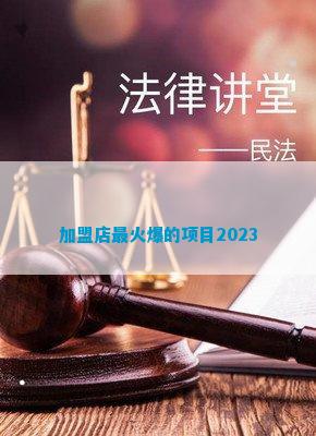 加盟店最火爆的项目2023